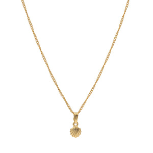 Modern Gold plated Atlantic bay shell Necklace
