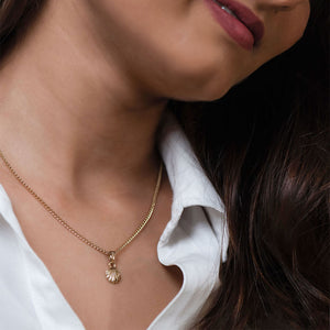 Modern Gold plated Atlantic bay shell Necklace